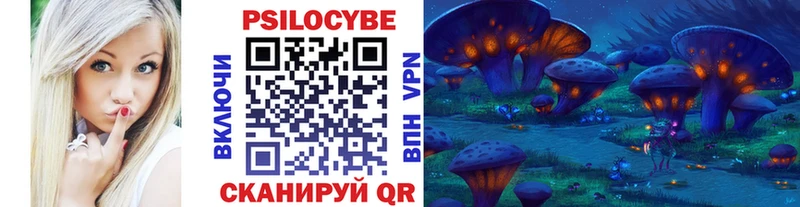 Псилоцибиновые грибы Psilocybine cubensis  Артём 