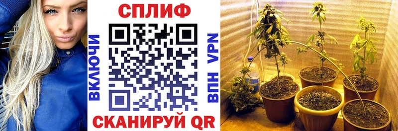 Каннабис AK-47  Артём 